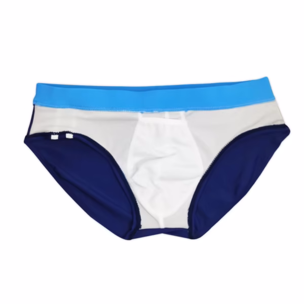 Triumph Swim Briefs in navy blue