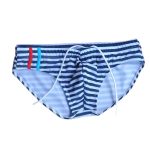 Victory Striped Swim Briefs 2