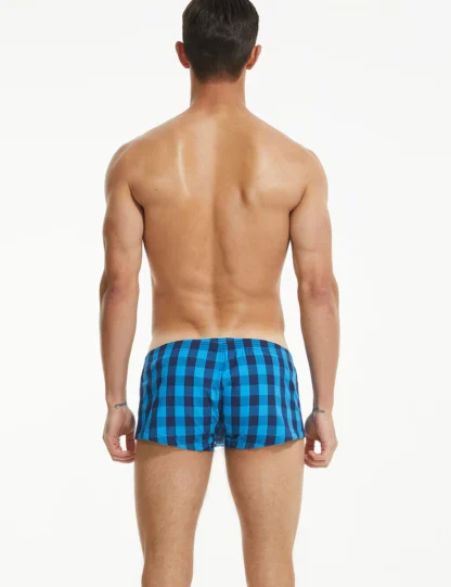 Plaid Fit Trunks 230503 Blue