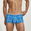 Plaid Fit Trunks 230506 Blue