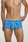 Plaid Fit Trunks 230506 Blue