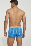 Plaid Fit Trunks 230506 Blue