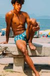 Plaid Fit Trunks 90510 Aqua