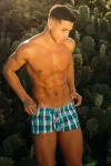 Plaid Fit Trunks 90510 Aqua
