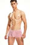 Tight Fit Candy Striped Boxer Briefs in red 10502