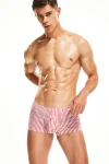 Tight Fit Candy Striped Boxer Briefs in red 10502