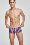 Tight Fit Striped Boxer Briefs 230509 in Navy