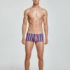 Tight Fit Striped Boxer Briefs 230509 in Navy