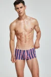 Tight Fit Striped Boxer Briefs 230509 in Navy